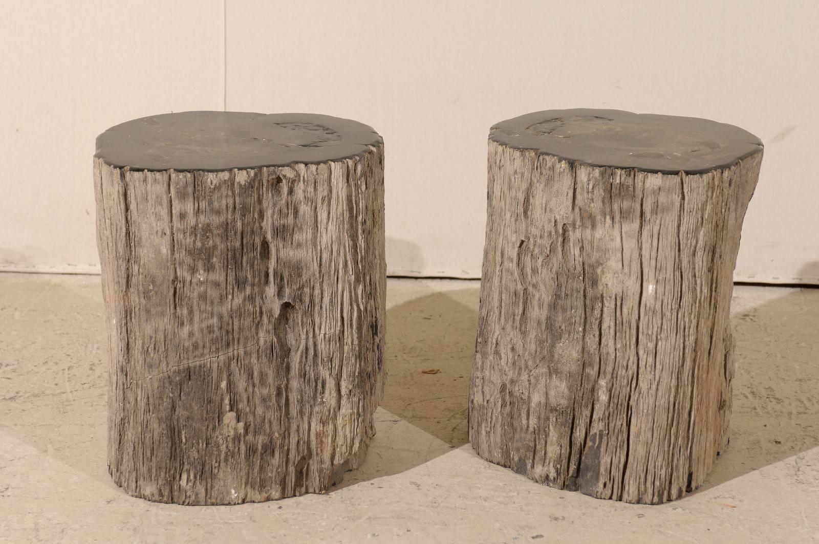 Rustic Pair of Black Petrified Wood Fossil Drink or Side Tables, Natural, Polished Wood