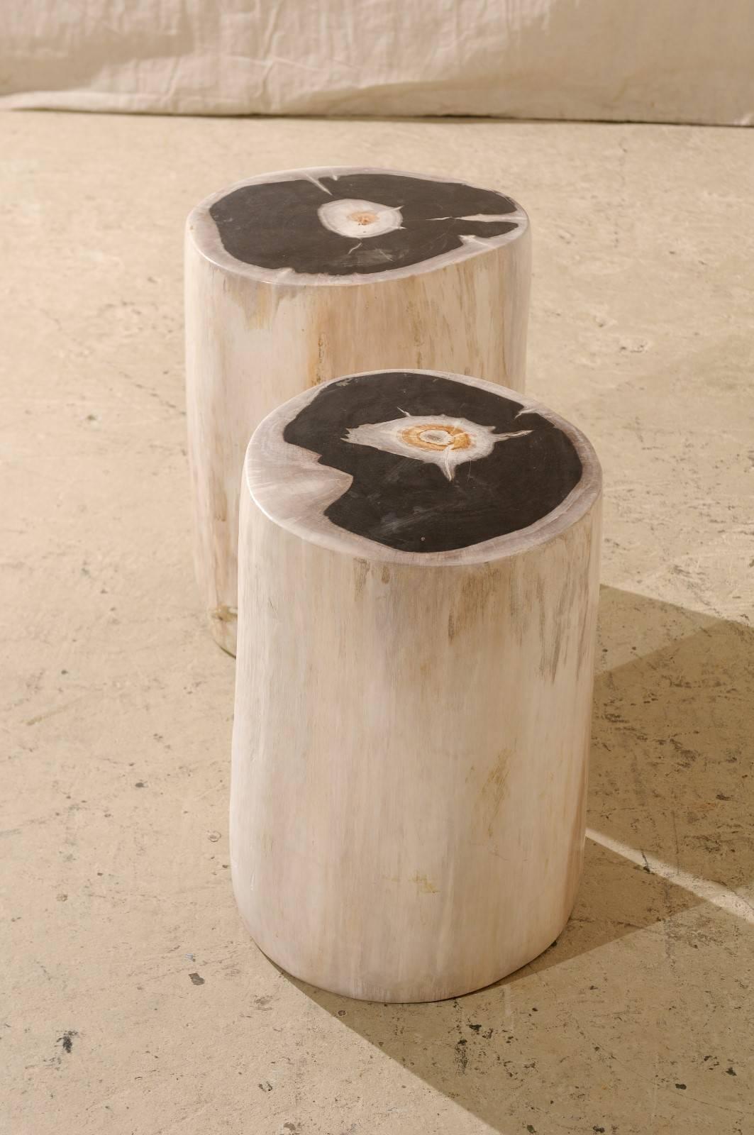 Pair of Sleek Petrified Wood Drink / Side Tables in Cream Color with Black Tops 1