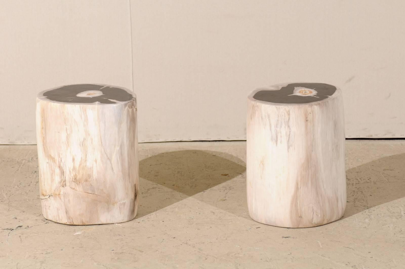 Polished Pair of Sleek Petrified Wood Drink / Side Tables in Cream Color with Black Tops