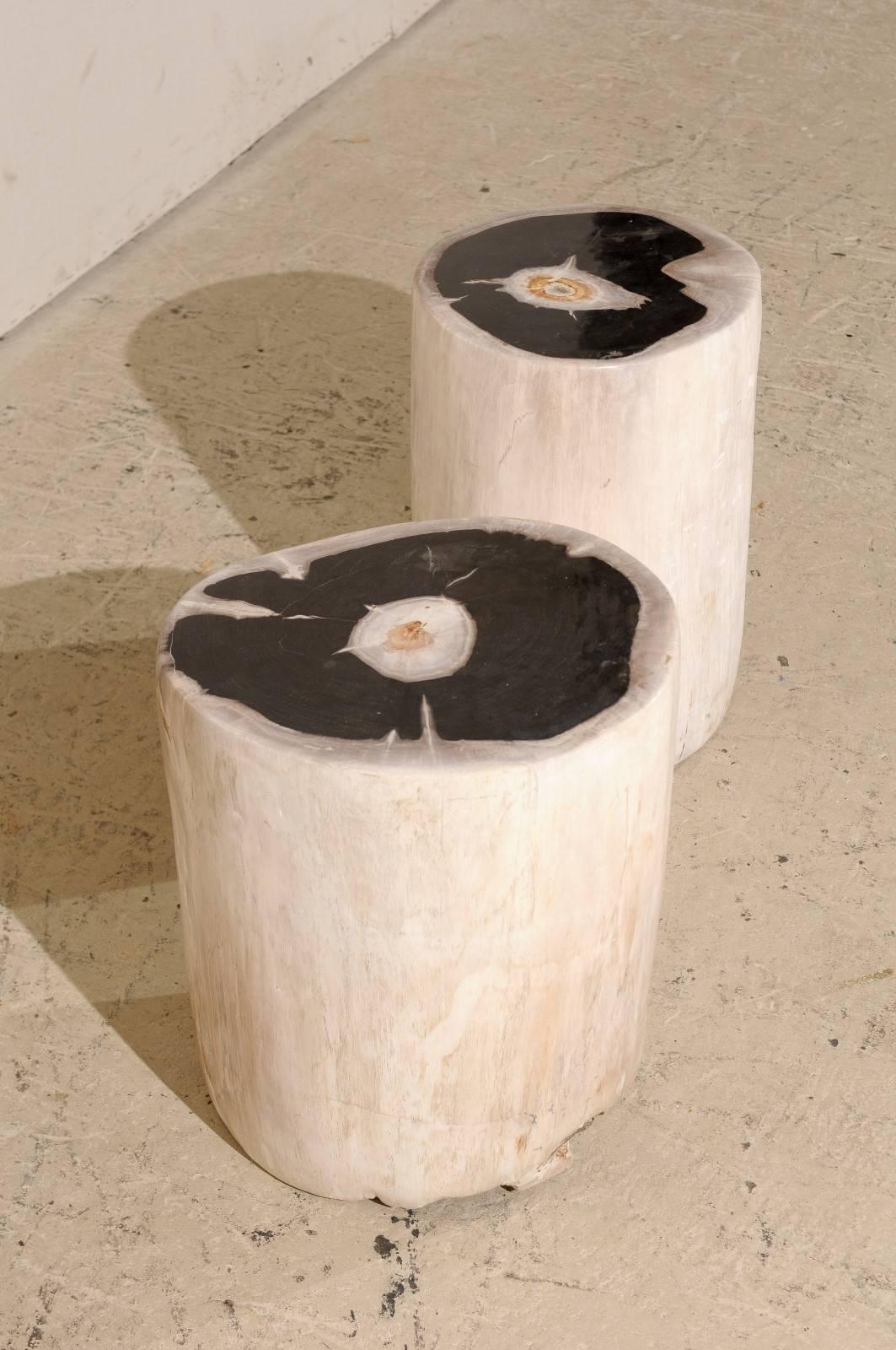 Pair of Sleek Petrified Wood Drink / Side Tables in Cream Color with Black Tops 2