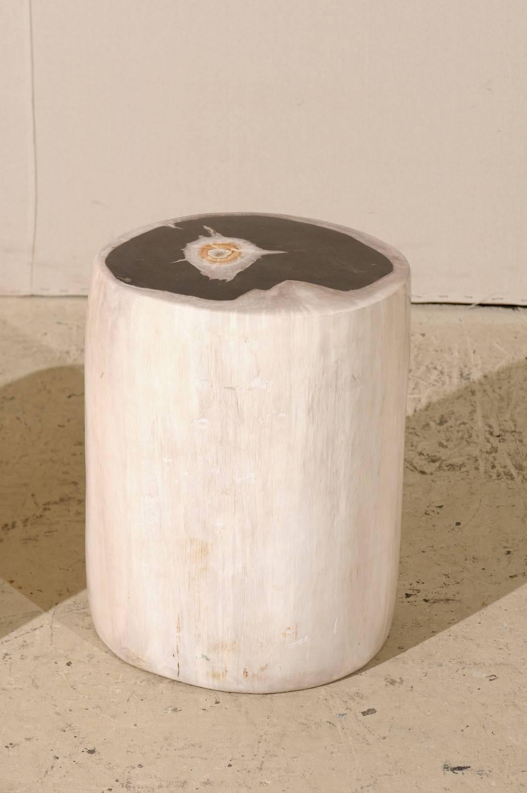 20th Century Pair of Sleek Petrified Wood Drink / Side Tables in Cream Color with Black Tops