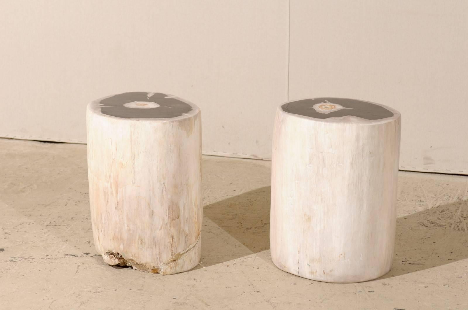 A pair of petrified wood drinks tables in light-white cream color with black tops. This pair of drinks table has two-toned polished tops (black and very subtle purple) and light color surrounds. Petrified wood is a fossil. Over time, the petrified