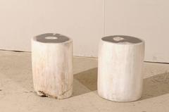 Pair of Sleek Petrified Wood Drink / Side Tables in Cream Color with Black Tops