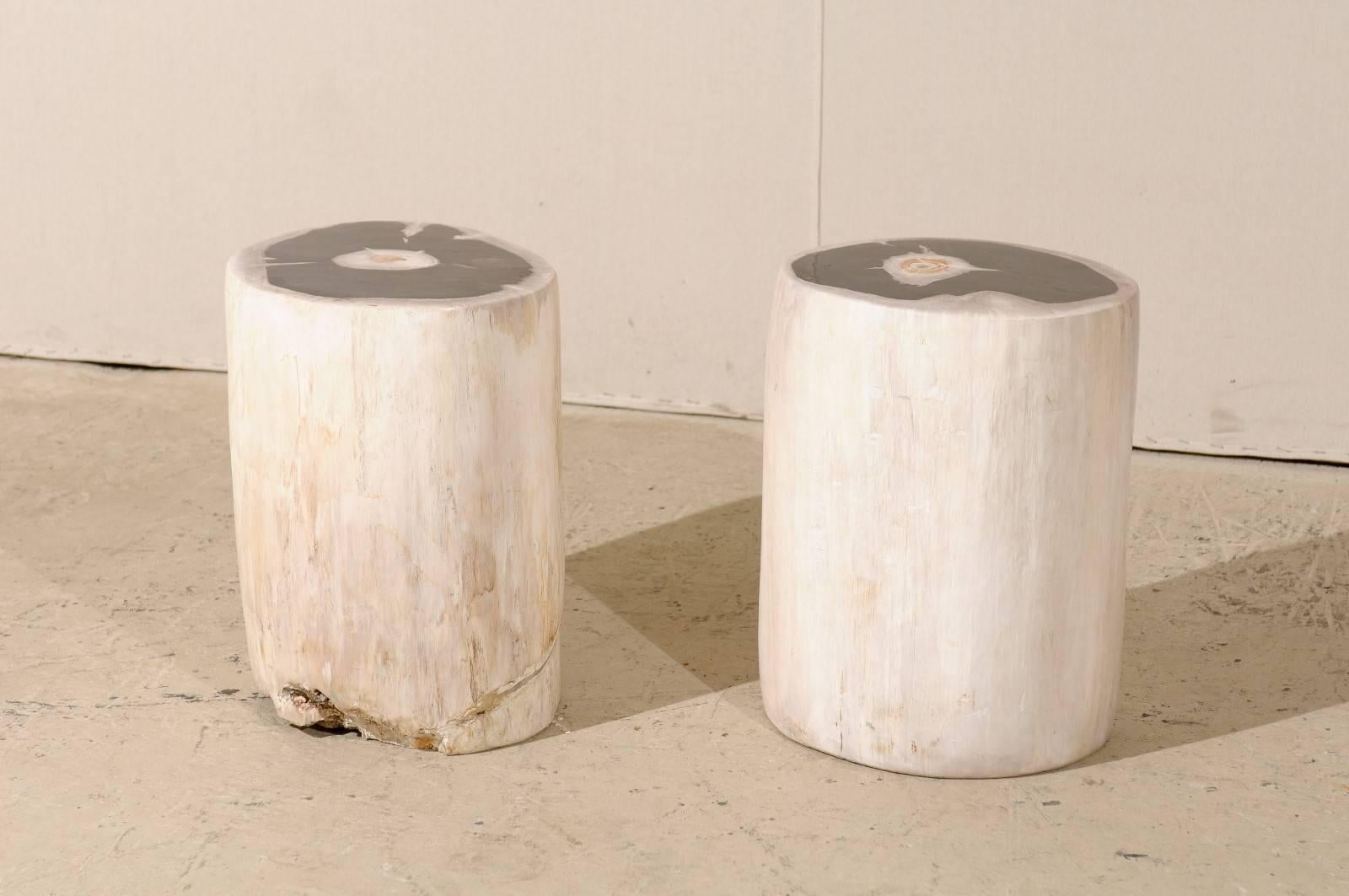 Indonesian Pair of Sleek Petrified Wood Drink / Side Tables in Cream Color with Black Tops