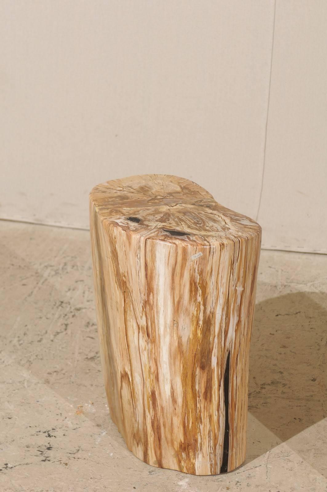 Pair of Light Color Petrified Wood Fossil Drink or Side Tables, Natural Pattern In Good Condition In Atlanta, GA