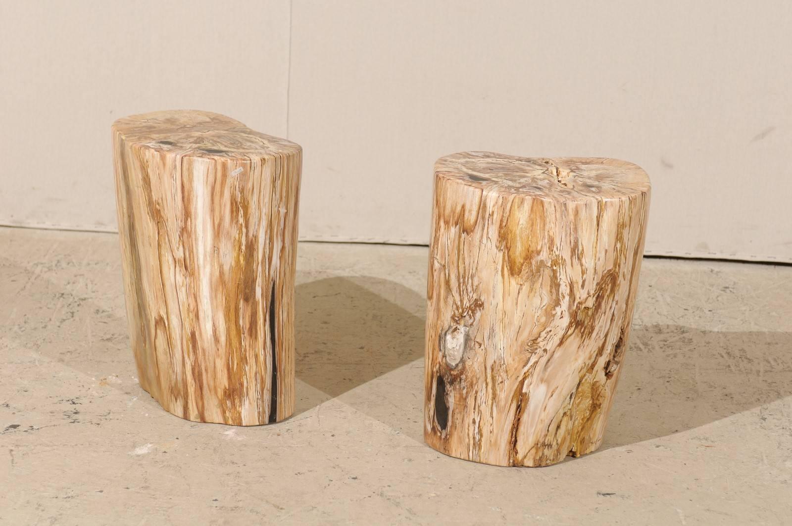 A pair of light color petrified wood drinks tables. This pair of petrified wood drinks tables features a polished finish. Petrified wood is a fossil. Over time, the petrified wood becomes so sturdy and dense that it is as heavy as marble. Each table