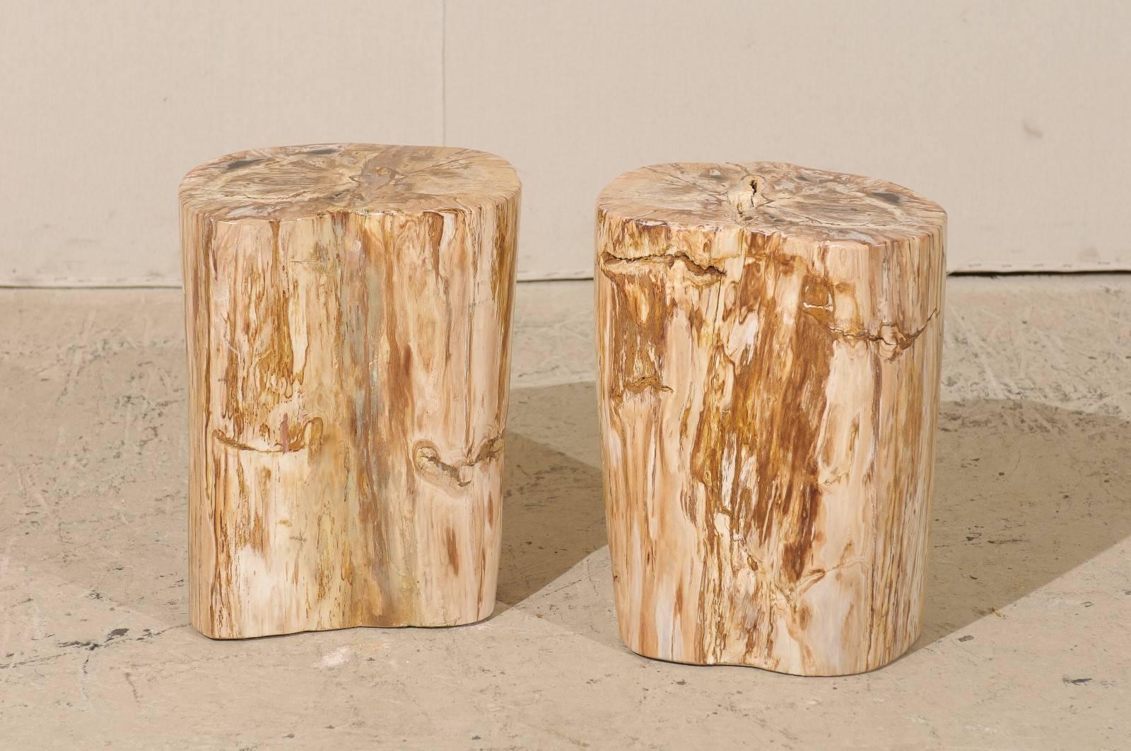 Pair of Light Color Petrified Wood Fossil Drink or Side Tables, Natural Pattern 1