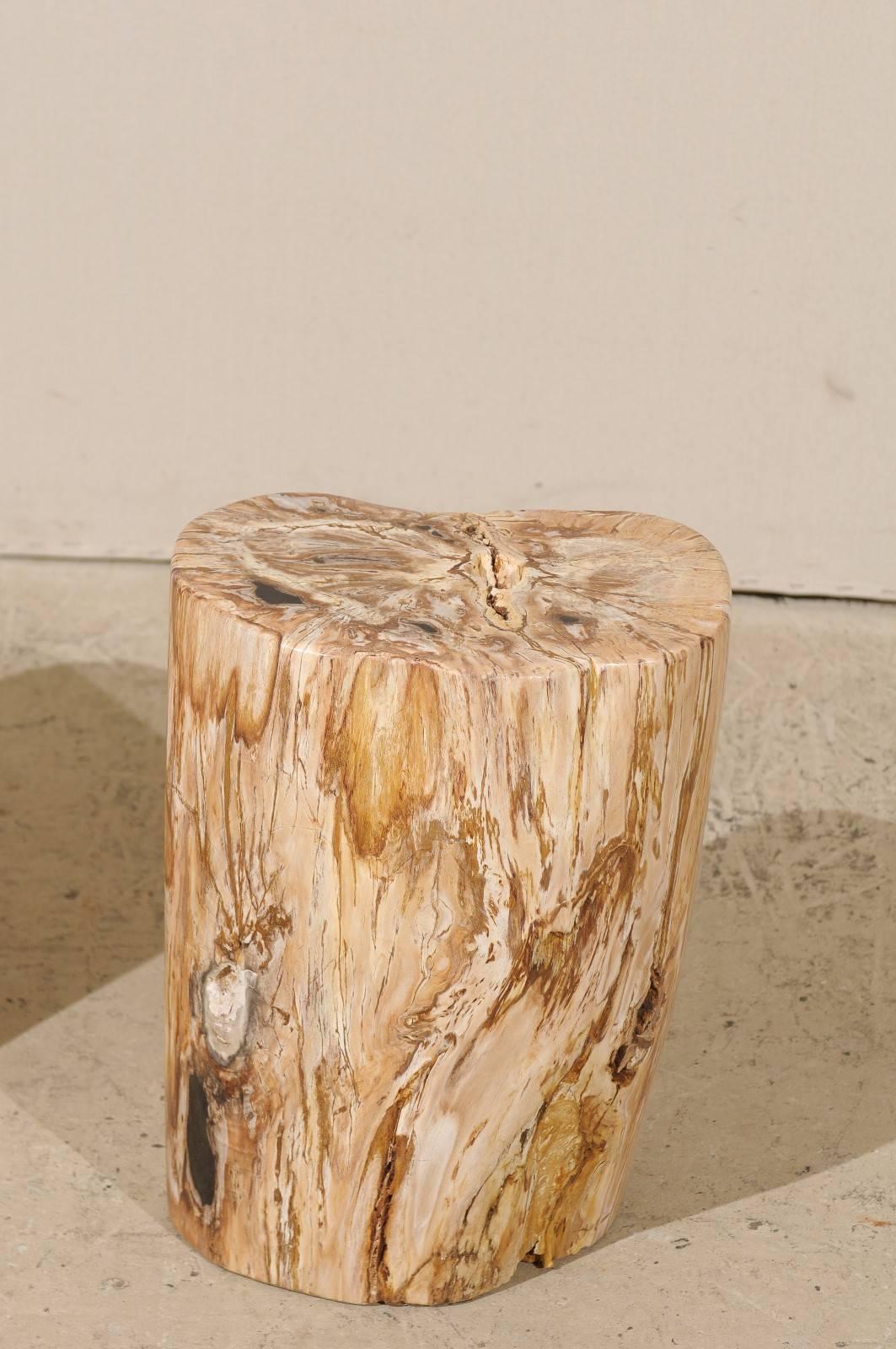 20th Century Pair of Light Color Petrified Wood Fossil Drink or Side Tables, Natural Pattern