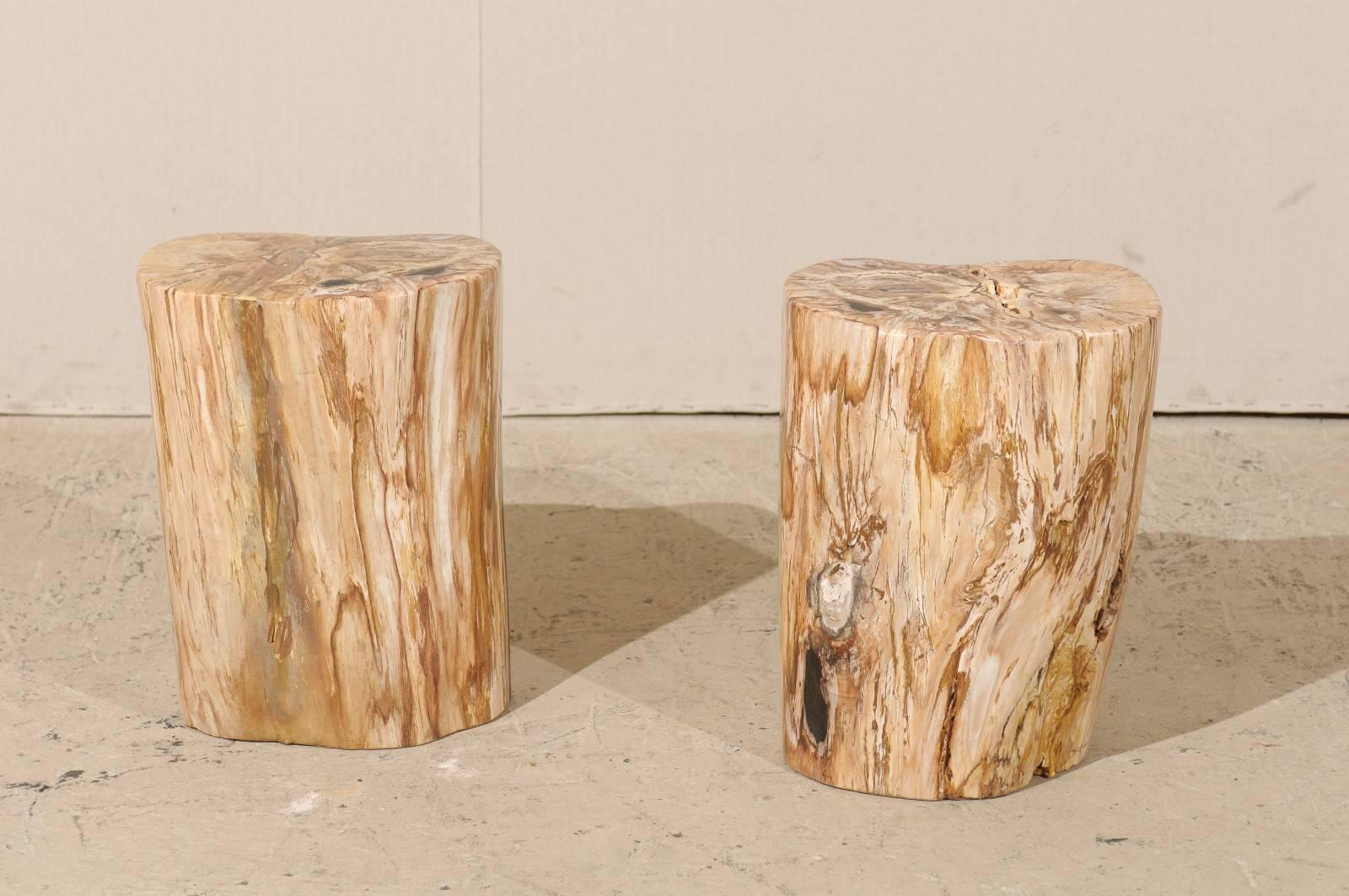 Indonesian Pair of Light Color Petrified Wood Fossil Drink or Side Tables, Natural Pattern