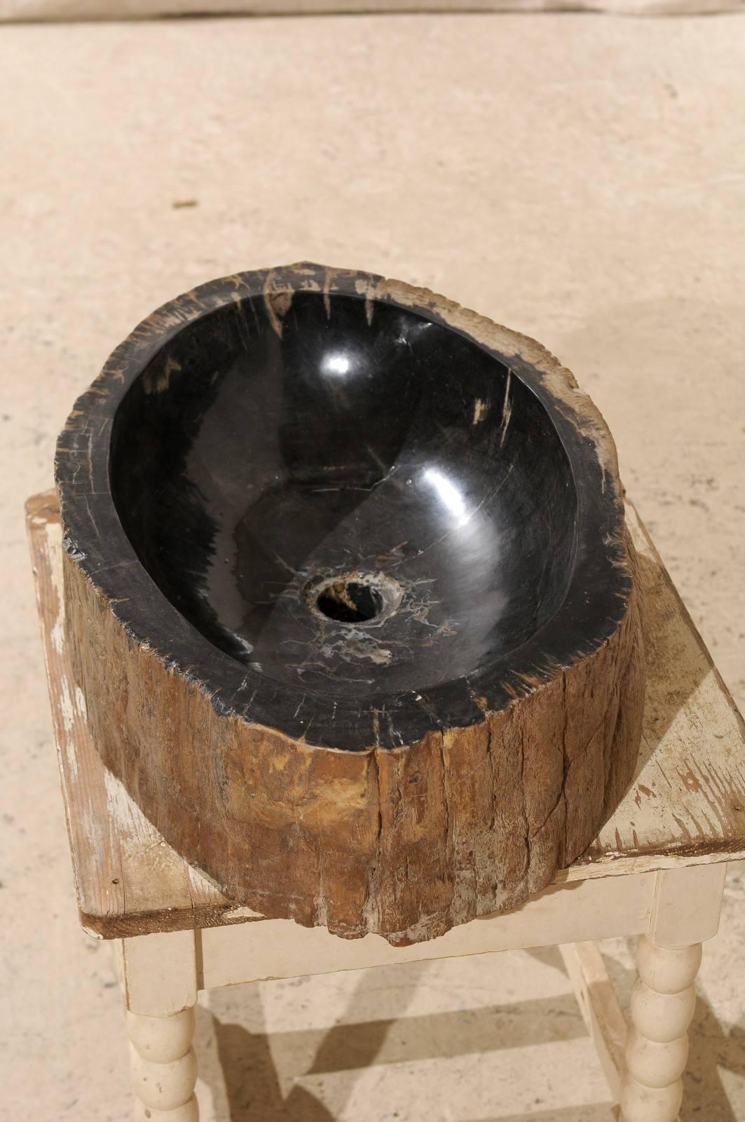 petrified wood sinks