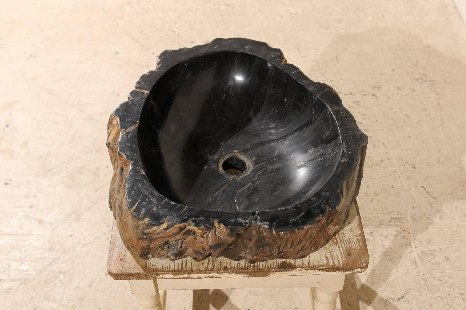 Black Polished Petrified Wood Sink Ready for a Vanity 3