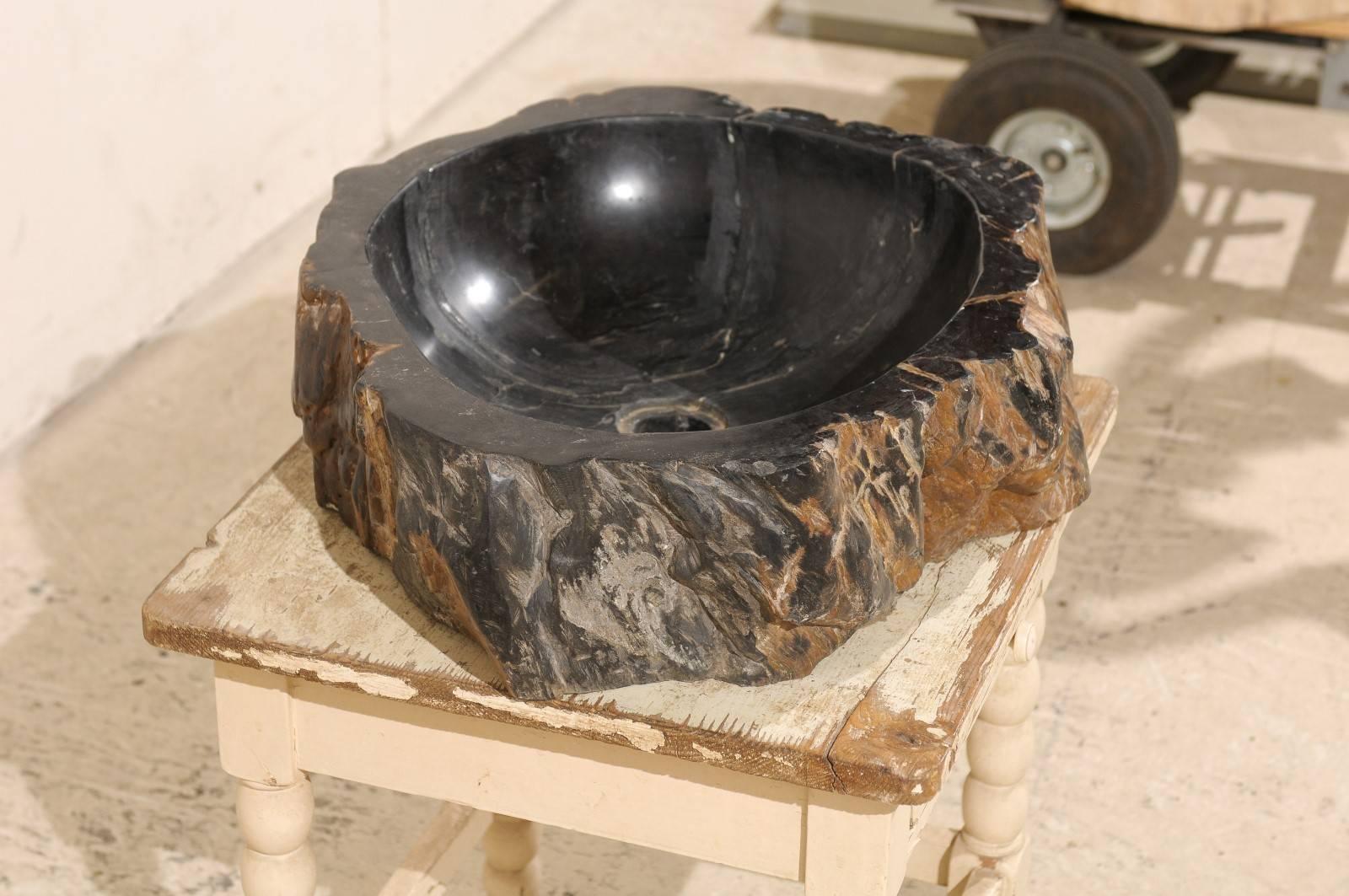 Black Polished Petrified Wood Sink Ready for a Vanity 1