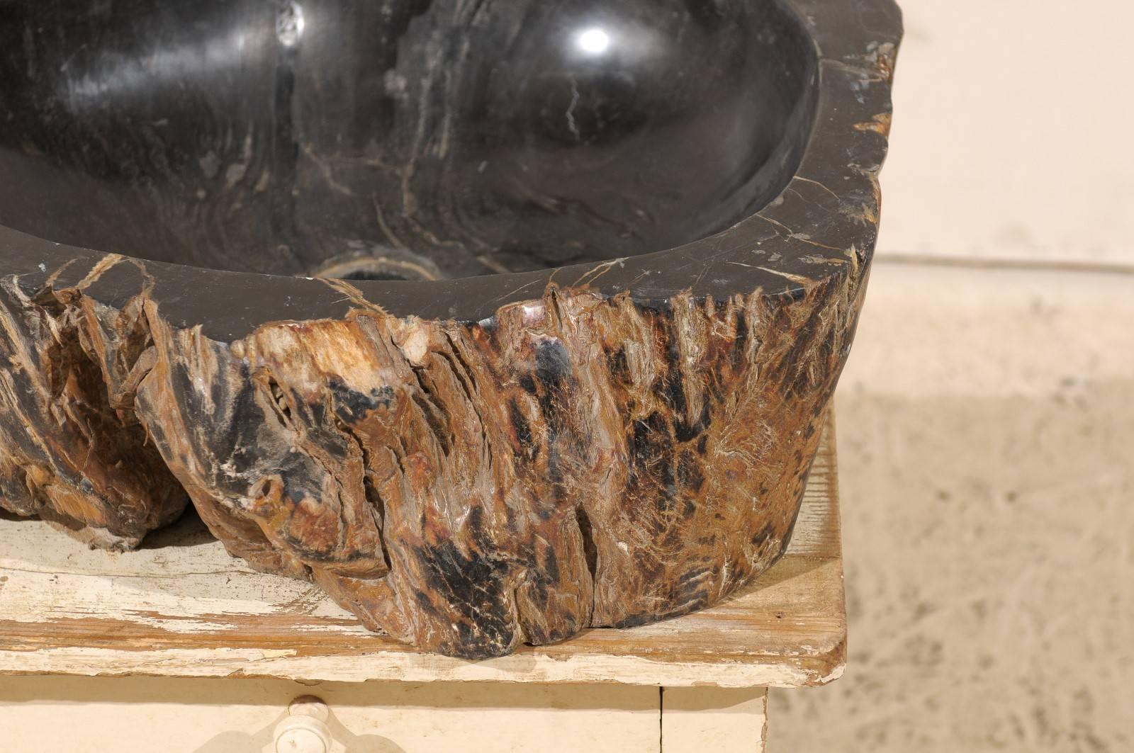 20th Century Black Polished Petrified Wood Sink Ready for a Vanity