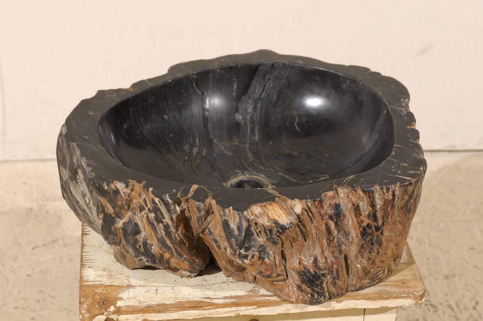 Indonesian Black Polished Petrified Wood Sink Ready for a Vanity