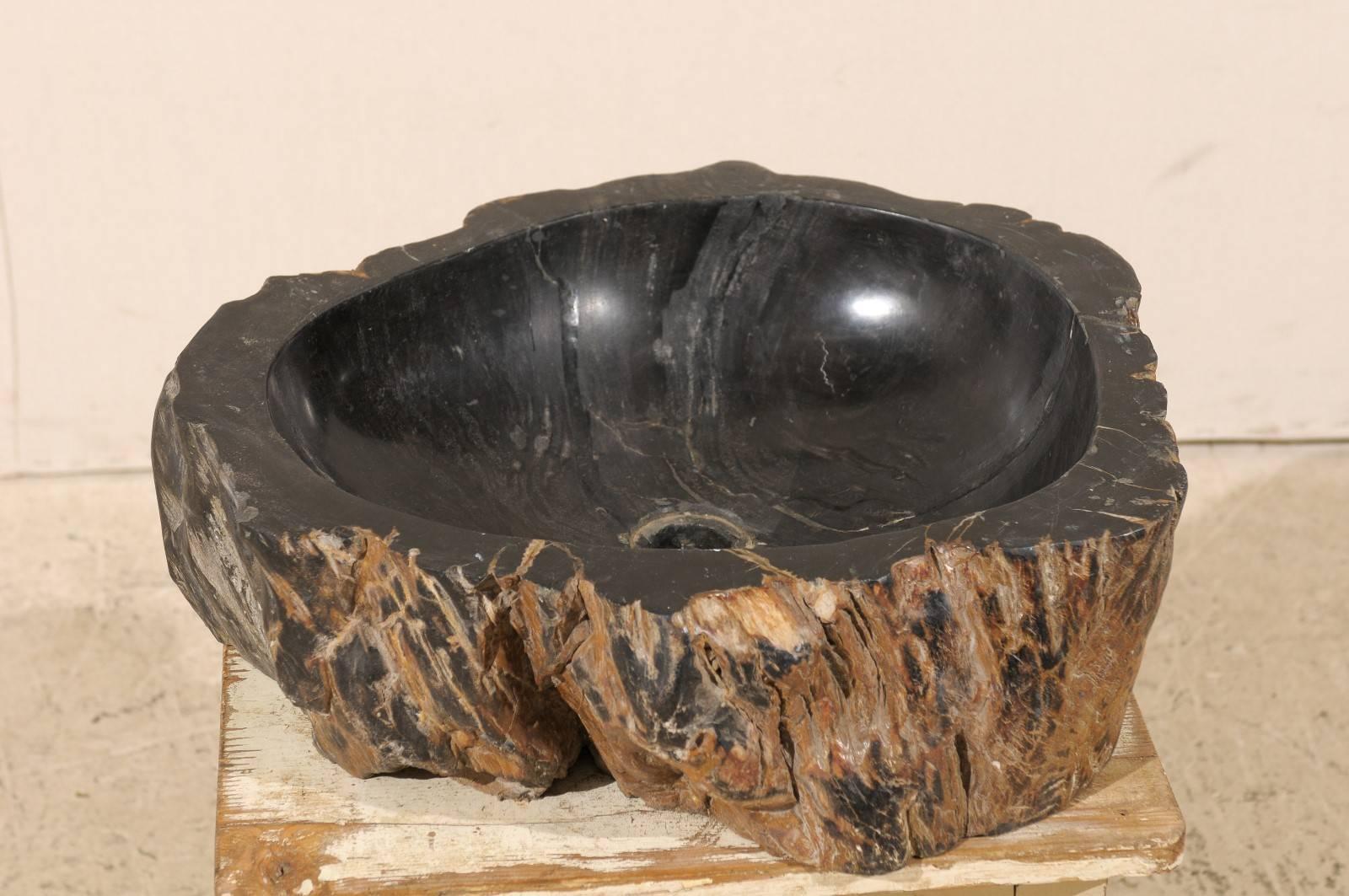 Black Polished Petrified Wood Sink Ready for a Vanity 2