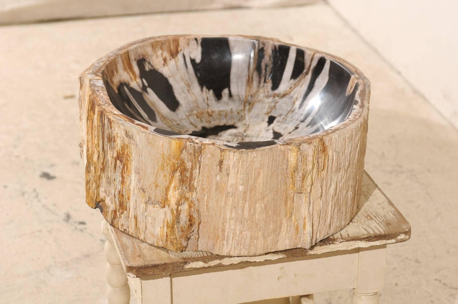 A black and cream colored petrified wood sink. This sink features tan, warm brown and cream colors on the outside. The inside of the sink has an organically formed off-white color with nice black patches throughout. Petrified wood is a fossil. Over