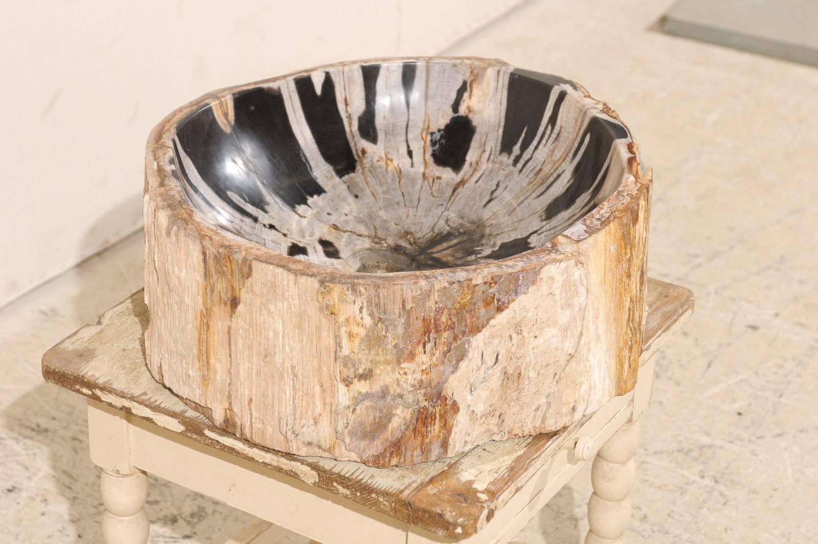 Indonesian Black and Cream Colored Petrified Wood Sink Great for a Powder Room Vanity