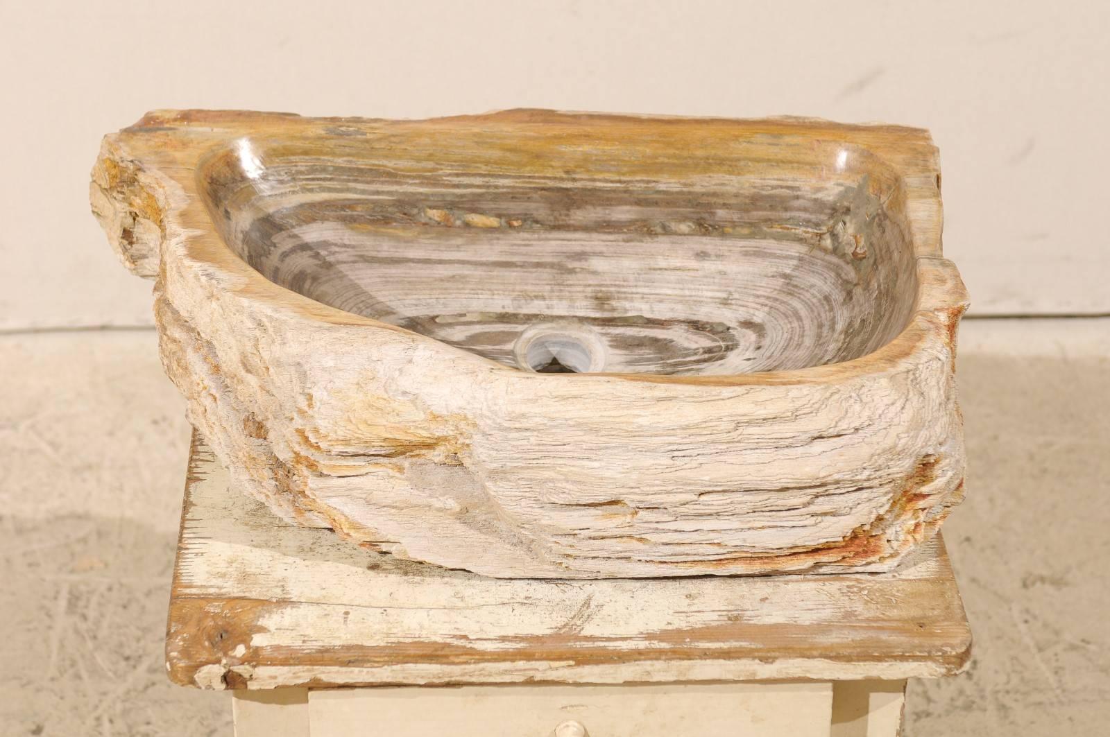A petrified and polished wood sink of oblong shape. Petrified wood is a fossil that becomes so sturdy and dense that it is as heavy as marble. This petrified wood sink is an overall neutral light cream color with grey and beige tones throughout.