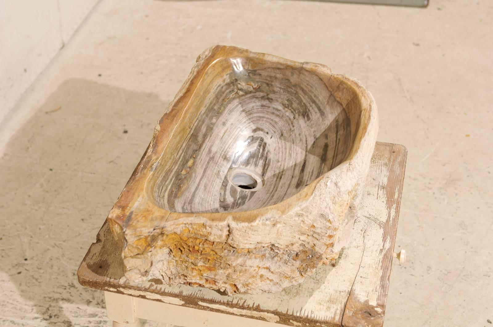 20th Century Oblong Petrified Wood Sink in Neutral Light Cream Color with Beige / Grey Colors