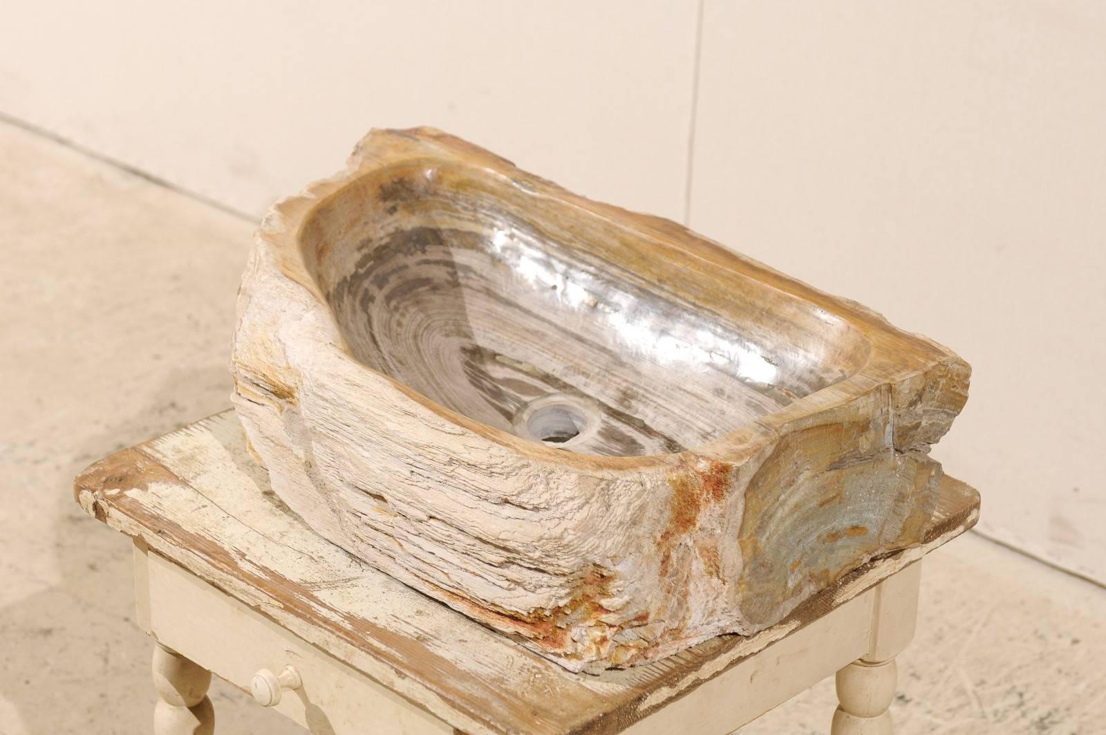 Oblong Petrified Wood Sink in Neutral Light Cream Color with Beige / Grey Colors 2