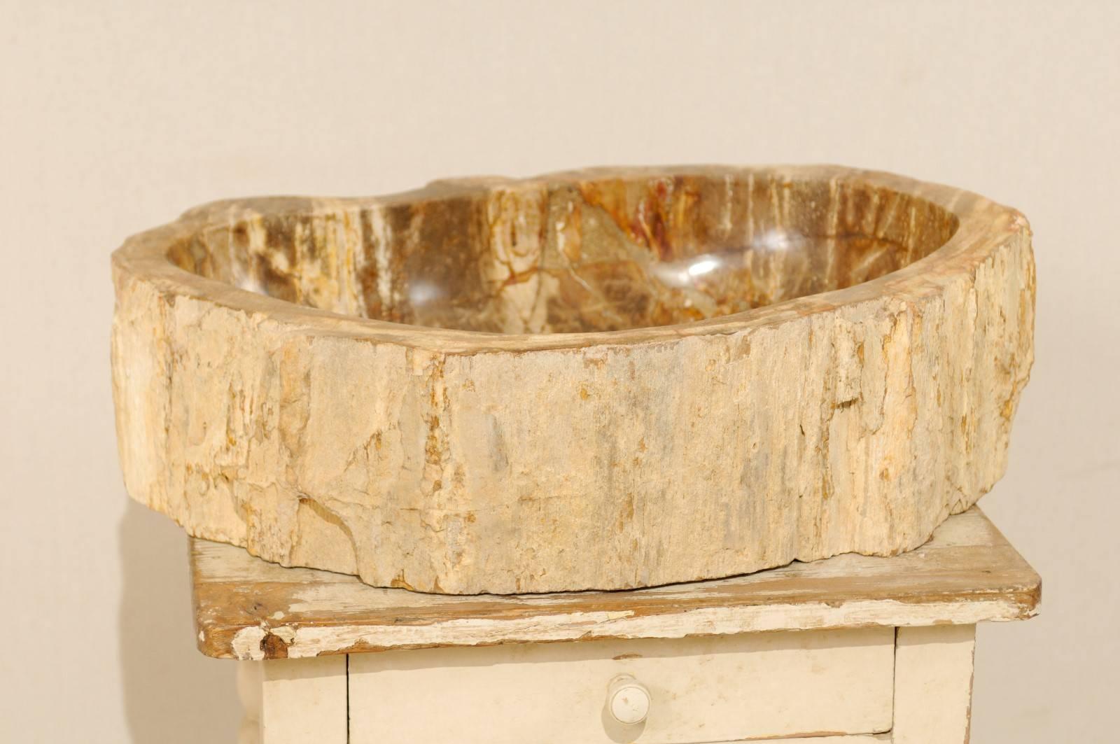 Carved Polished Petrified Wood Sink of Neutral Cream, Tan, Light Brown and Beige Hues