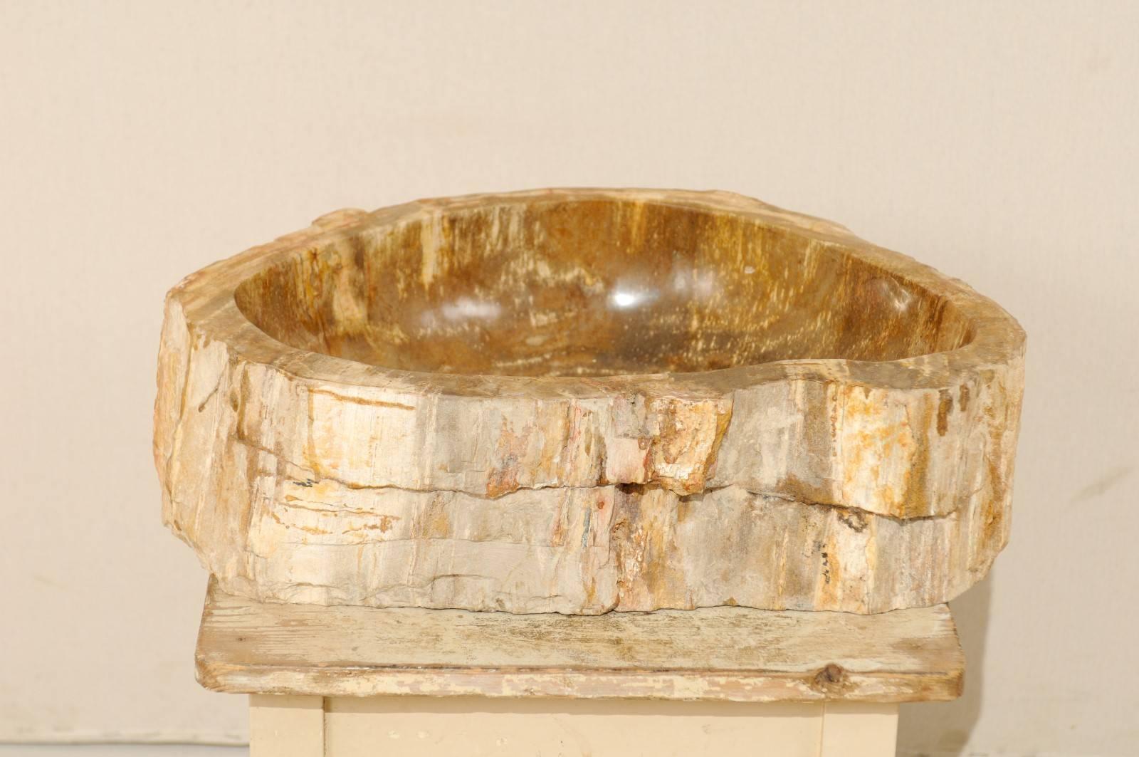 Polished Petrified Wood Sink of Neutral Cream, Tan, Light Brown and Beige Hues 1