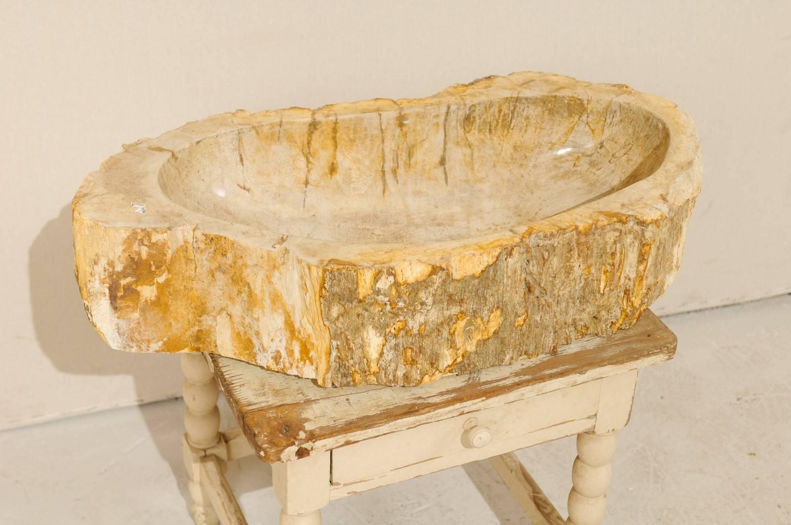 Indonesian Polished Petrified Wood Sink with Rustic Oblong Shape in Warm Cream & Beige