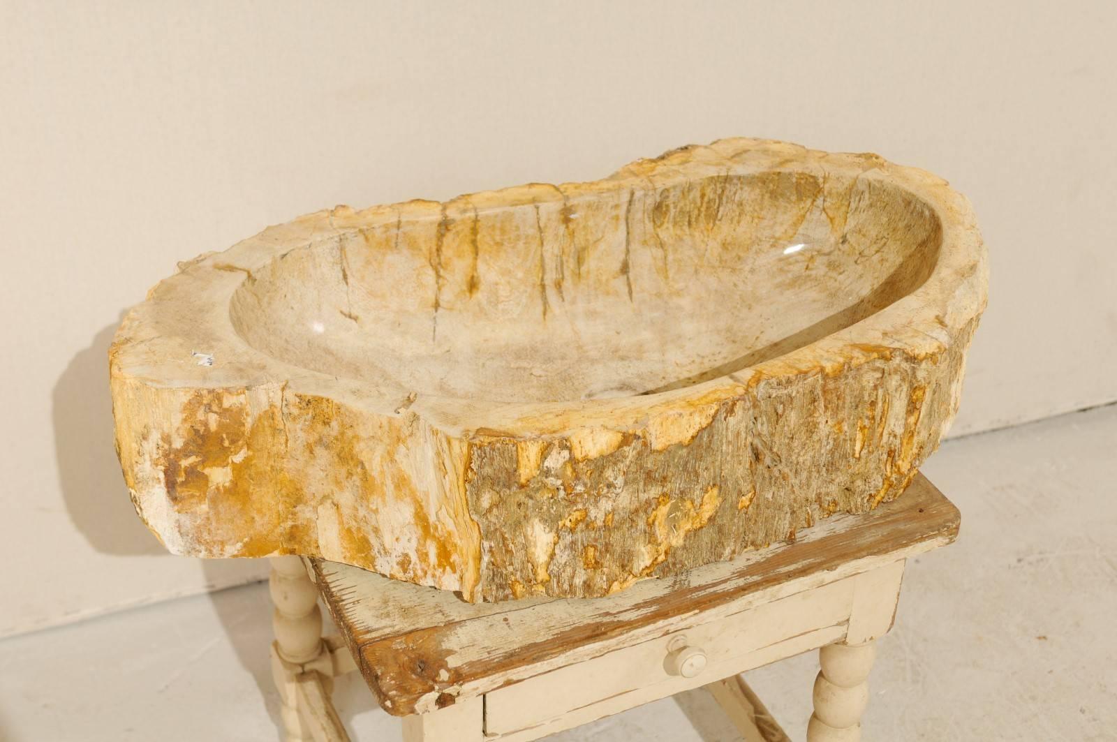 Polished Petrified Wood Sink with Rustic Oblong Shape in Warm Cream & Beige In Good Condition In Atlanta, GA