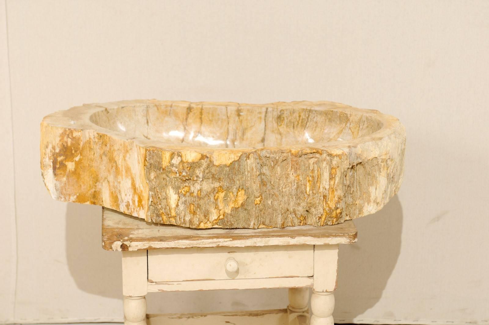 Polished Petrified Wood Sink with Rustic Oblong Shape in Warm Cream & Beige 1
