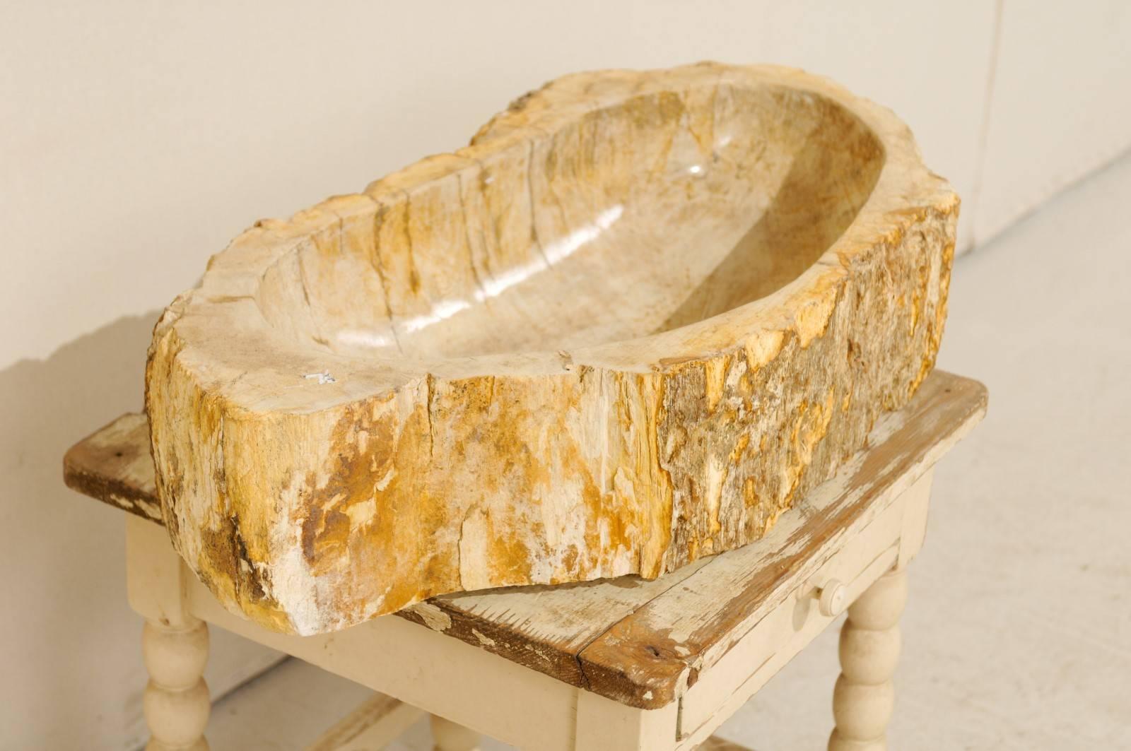 20th Century Polished Petrified Wood Sink with Rustic Oblong Shape in Warm Cream & Beige