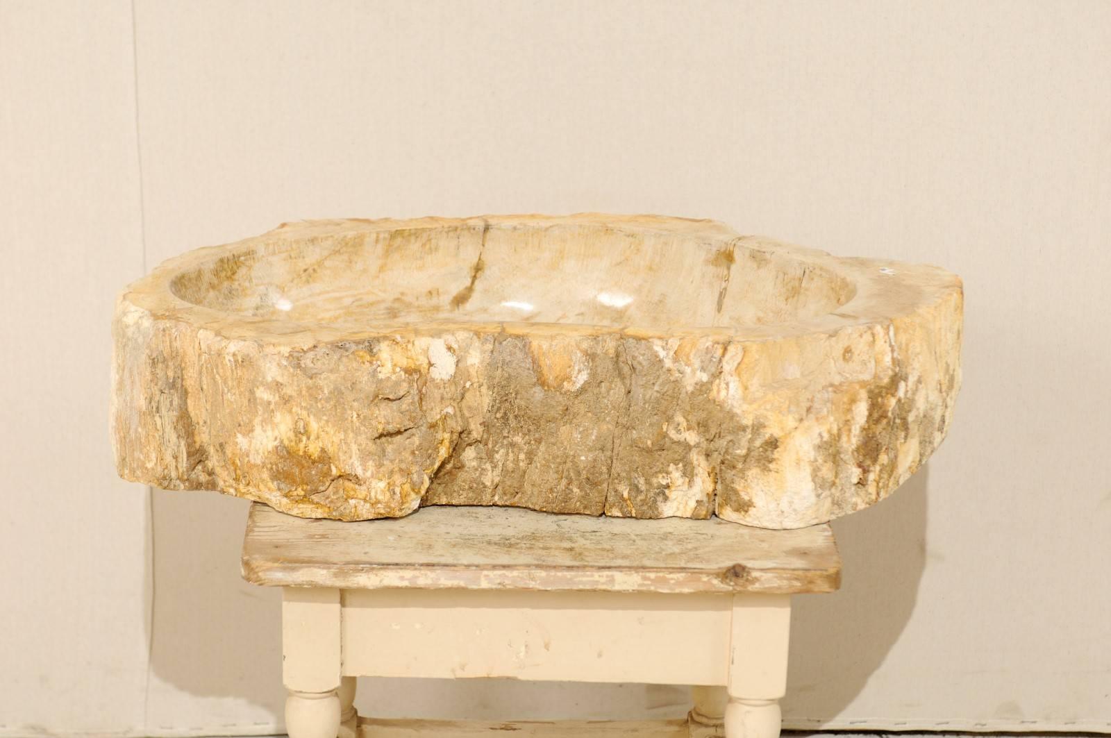 Polished Petrified Wood Sink with Rustic Oblong Shape in Warm Cream & Beige 2