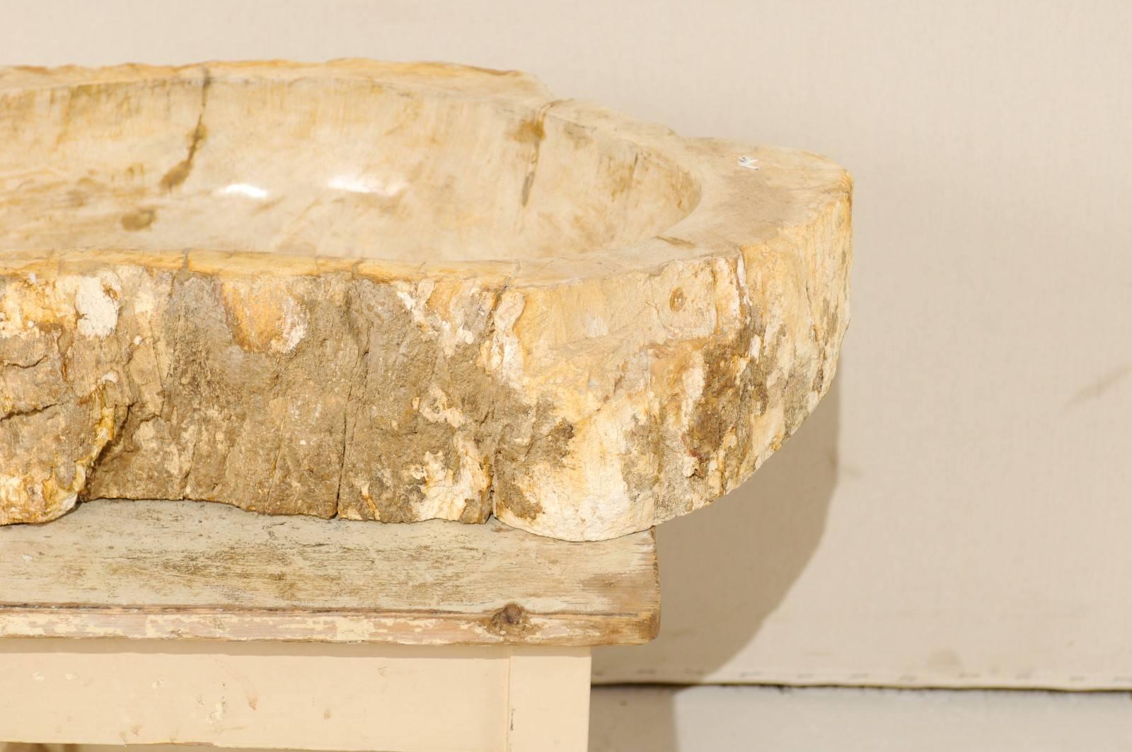 Polished Petrified Wood Sink with Rustic Oblong Shape in Warm Cream & Beige 3