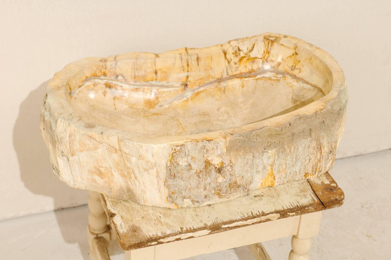 A cream and beige color petrified wood sink. This petrified wood sink features a kidney bean shape. The sink is primarily cream and beige with some warmer brown veining and spots throughout. The interior of the sink has been polished and the
