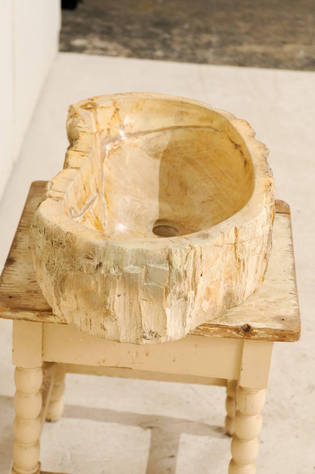 Carved An Elegant Kidney-Shaped Polished Petrified Wood Sink with a Live-Edge Surround For Sale