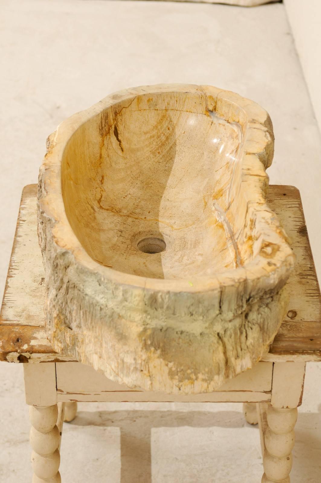 Indonesian An Elegant Kidney-Shaped Polished Petrified Wood Sink with a Live-Edge Surround For Sale