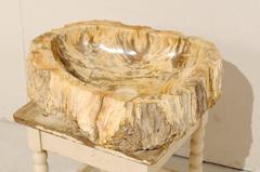 Polished Petrified Wood Sink with Beautiful Coloration and Shape