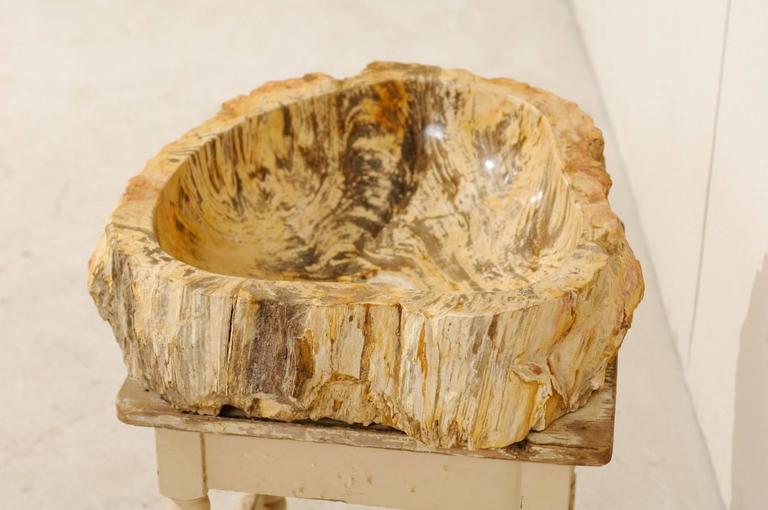 Polished Petrified Wood Sink with Beautiful Coloration and Shape at 1stDibs