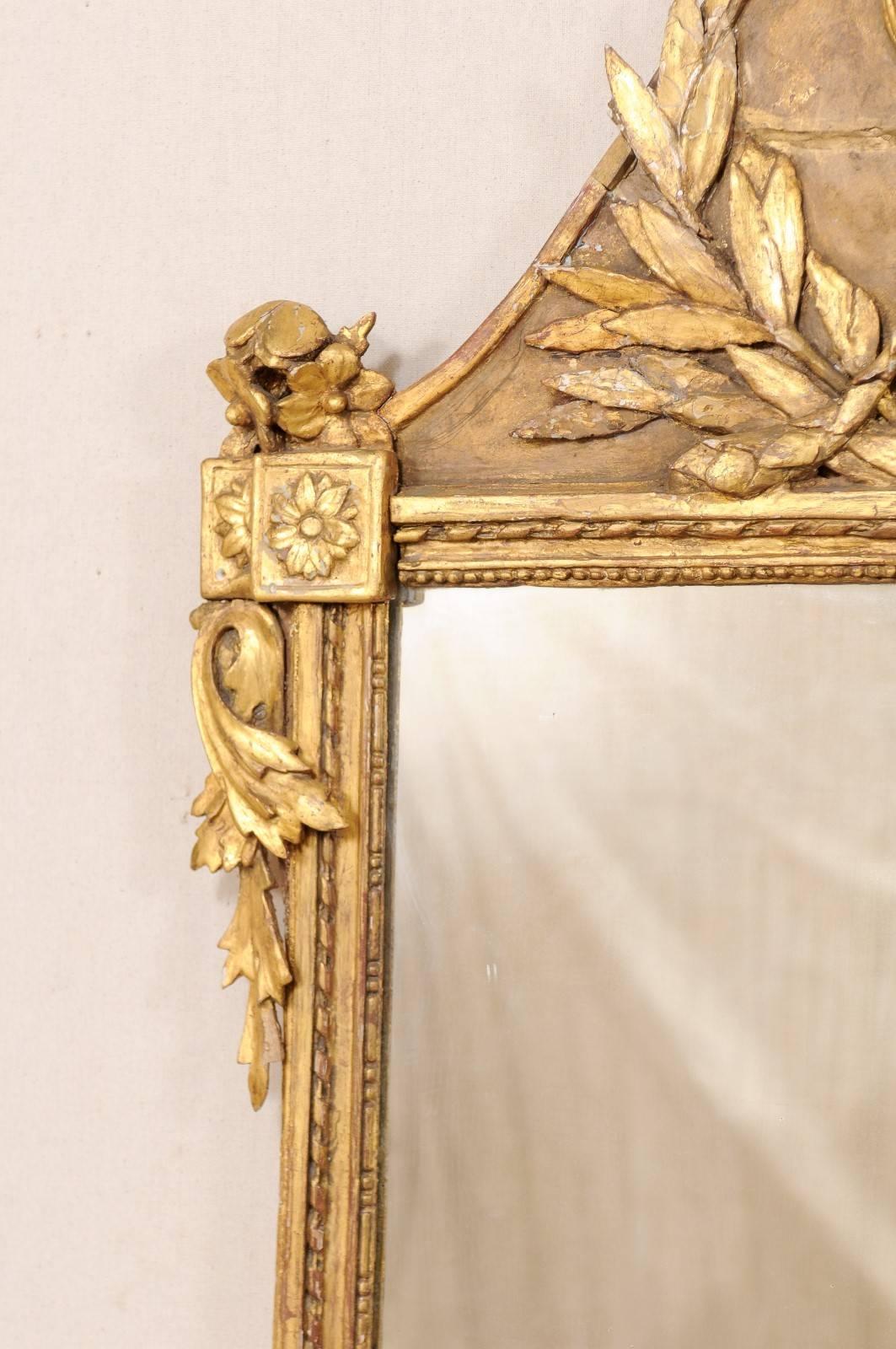 18th Century and Earlier 18th Century French Richly Carved Gilded Wood Tall Mirror with Urn Motif Crest