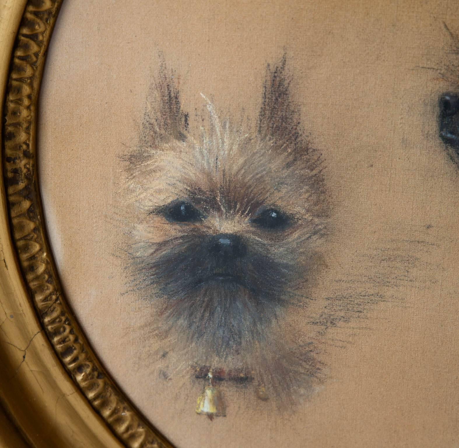 Late Victorian Late 19th Century French Pastel Drawing of a Yorkshire Terrier For Sale