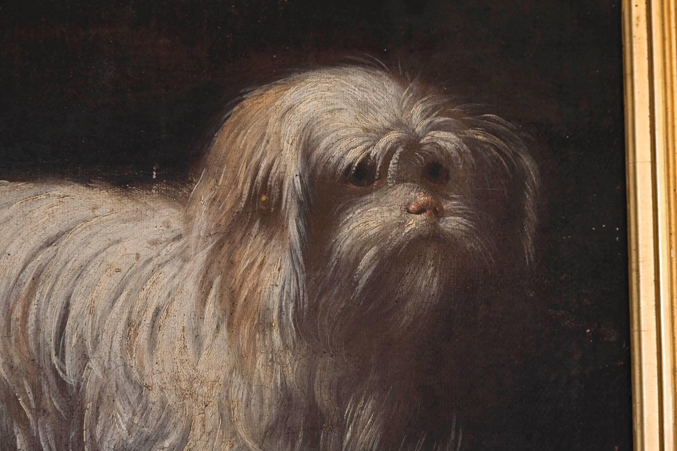 French Charming 19th Century Oil on Canvas Painting of a Small White Dog in Gilt Frame