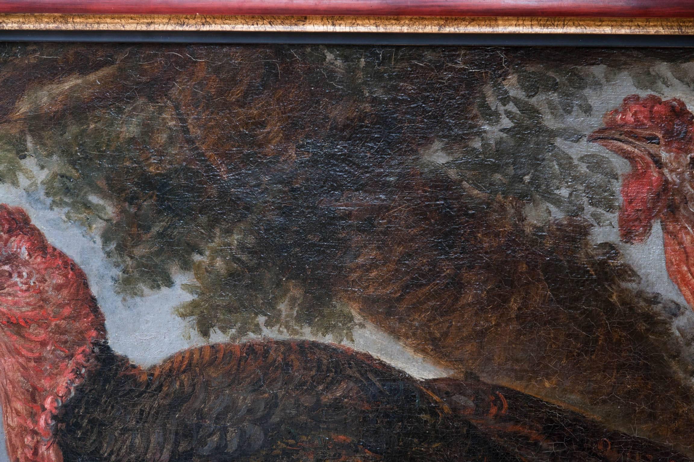 Large Early 19th Century Oil on Canvas of Two Turkeys For Sale 1