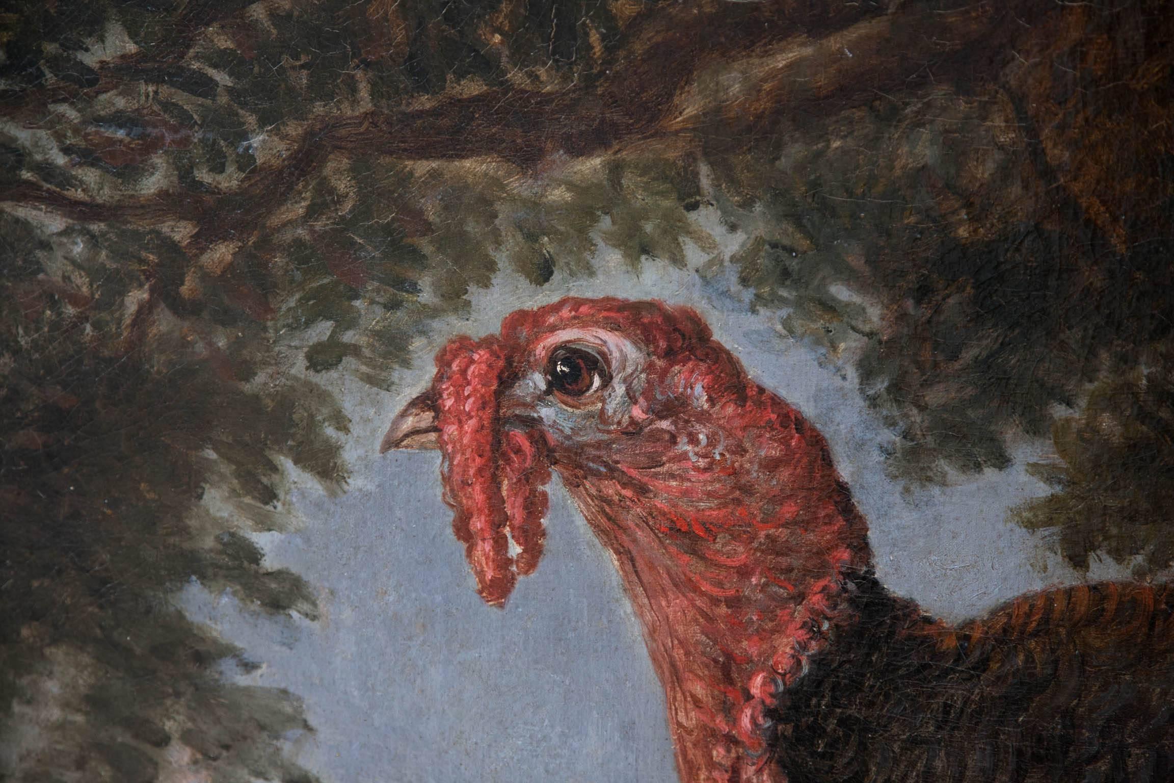 Large Early 19th Century Oil on Canvas of Two Turkeys For Sale 2