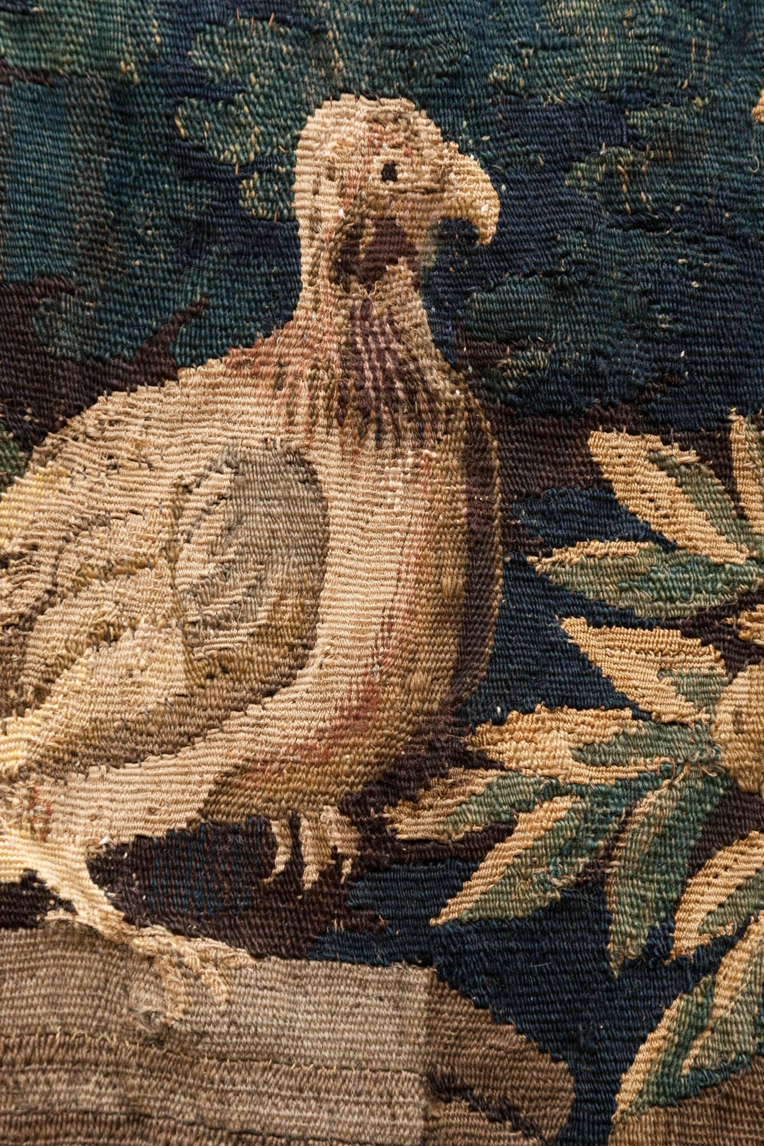 Mid-18th Century French Aubusson Verdure Tapestry with Birds and a Fountain 5