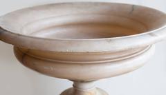 Large 19th Century Alabaster Vase Mounted on a Timber Plinth