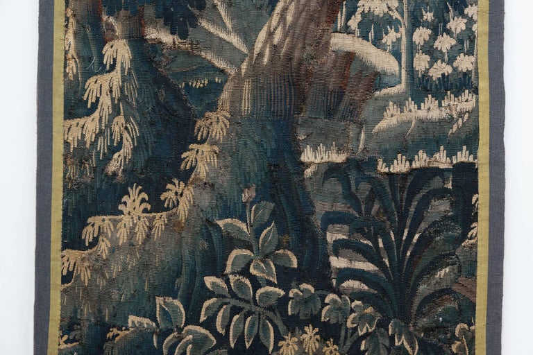 Régence Early 18th Century Verdure Tapestry Fragment, Aubusson For Sale