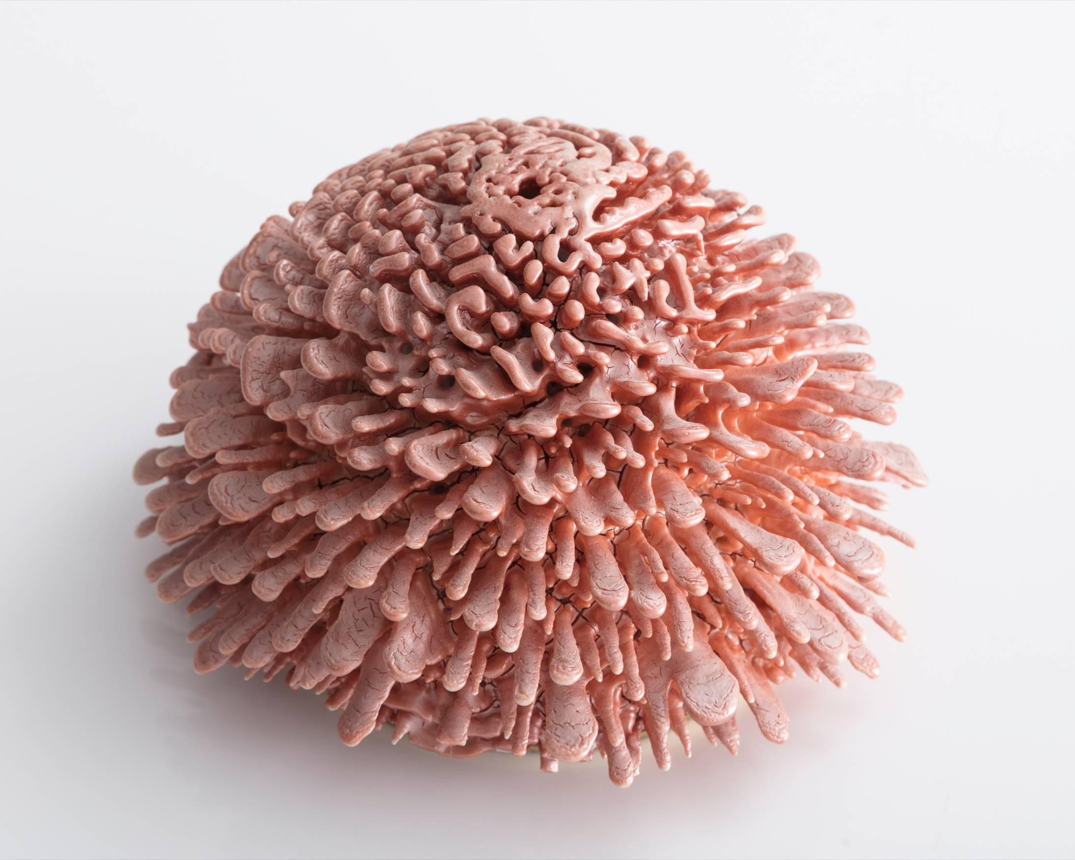 Unique, hand-thrown Urchin with soda ash glaze accretion. Designed and made by The Haas Brothers, USA, 2017.