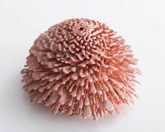 Unique, Hand-Thrown Urchin by The Haas Brothers, USA, 2017