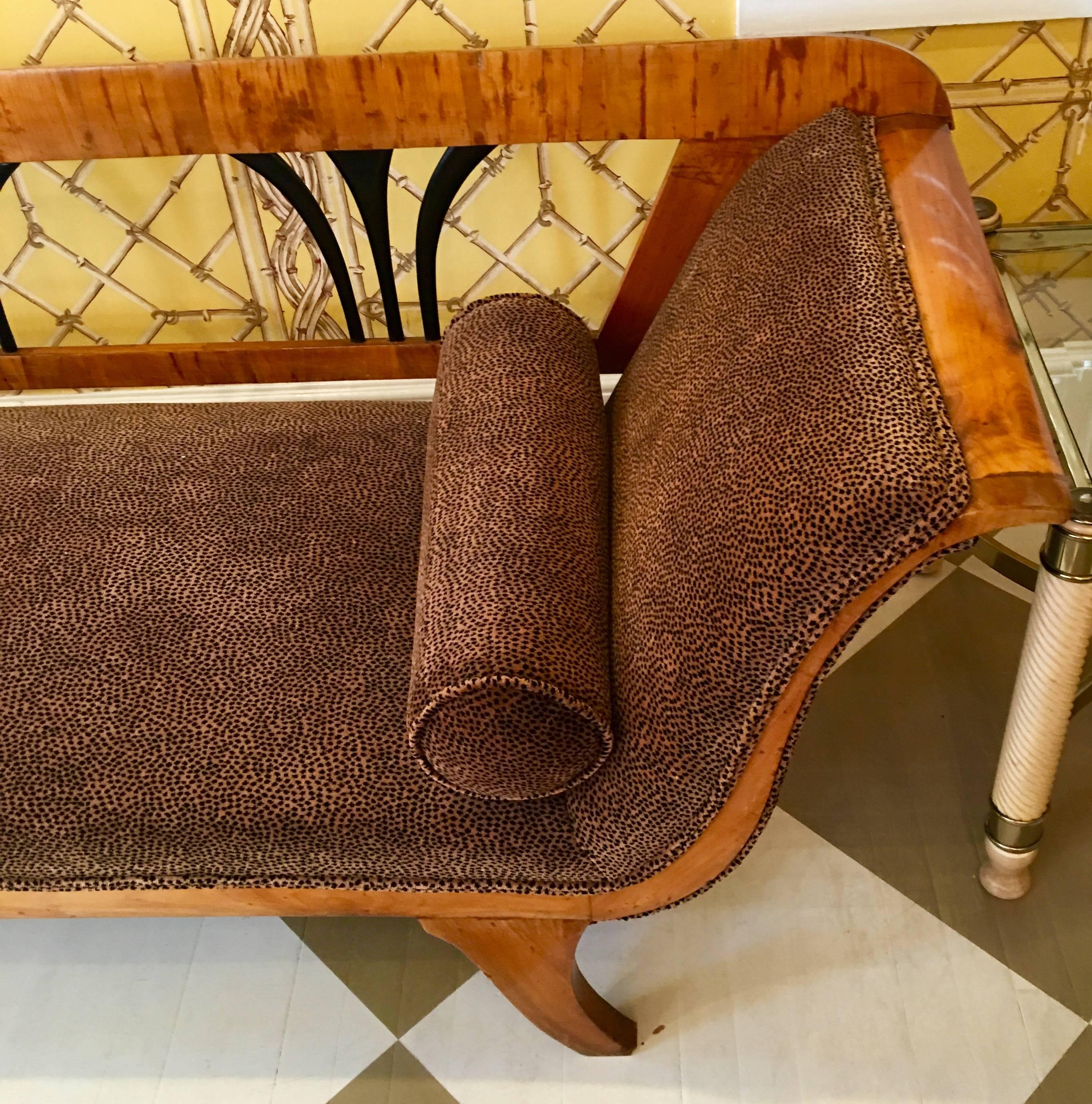 Regency 19th Century Austrian Biedermeier Sofa For Sale