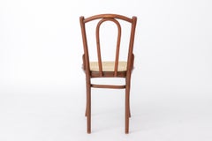 Antique Bentwood Chair in the Style of Thonet No. 56  Austrian Rattan 1930-1940
