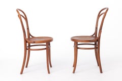 Pair of Antique Bentwood Chairs  Austrian Beechwood Dining Chairs  1930s